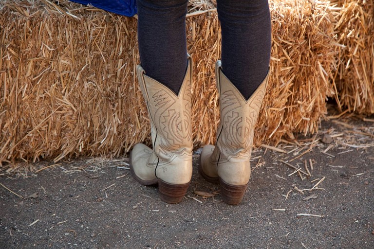 Vacation Rentals (United States of America, Palomar Mountain, California)