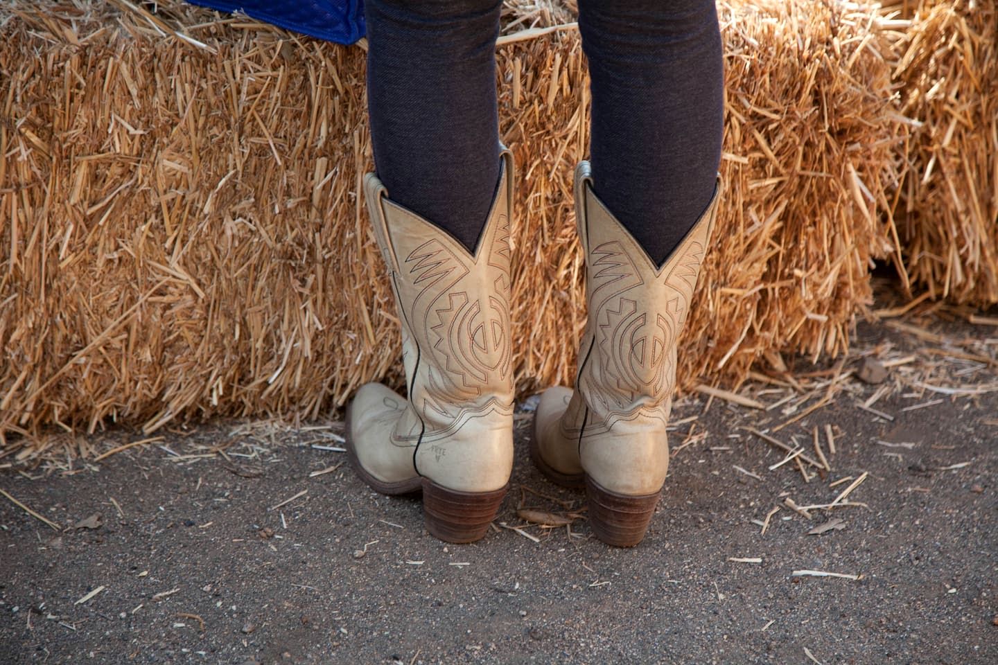 Rustic Group Bunkhouse Retreat with Yoga Deck & Mountain Views near Palomar Observatory, California