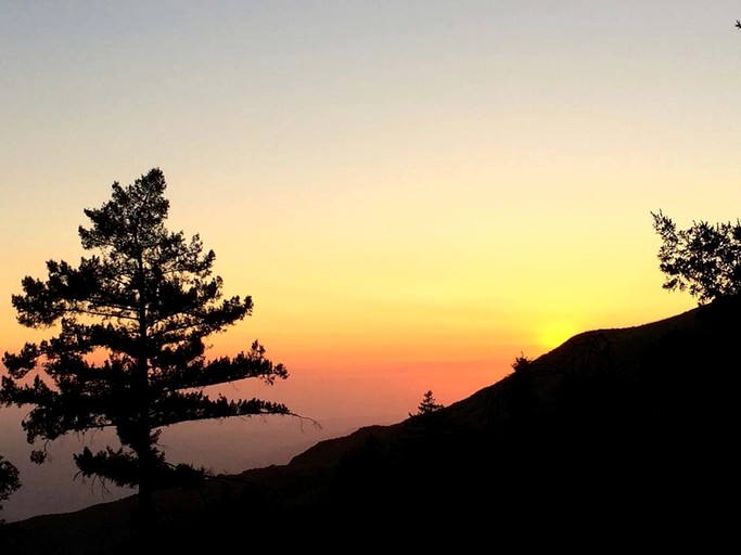 Vacation Rentals (United States of America, Palomar Mountain, California)