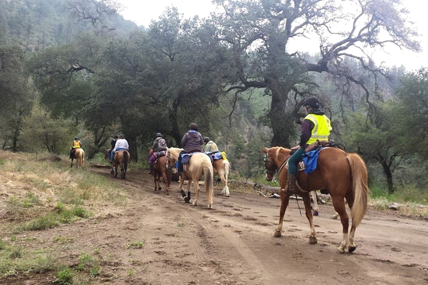 Spacious Mountain Ranch Retreat with Event Space & Trails near Palomar Mountain, California