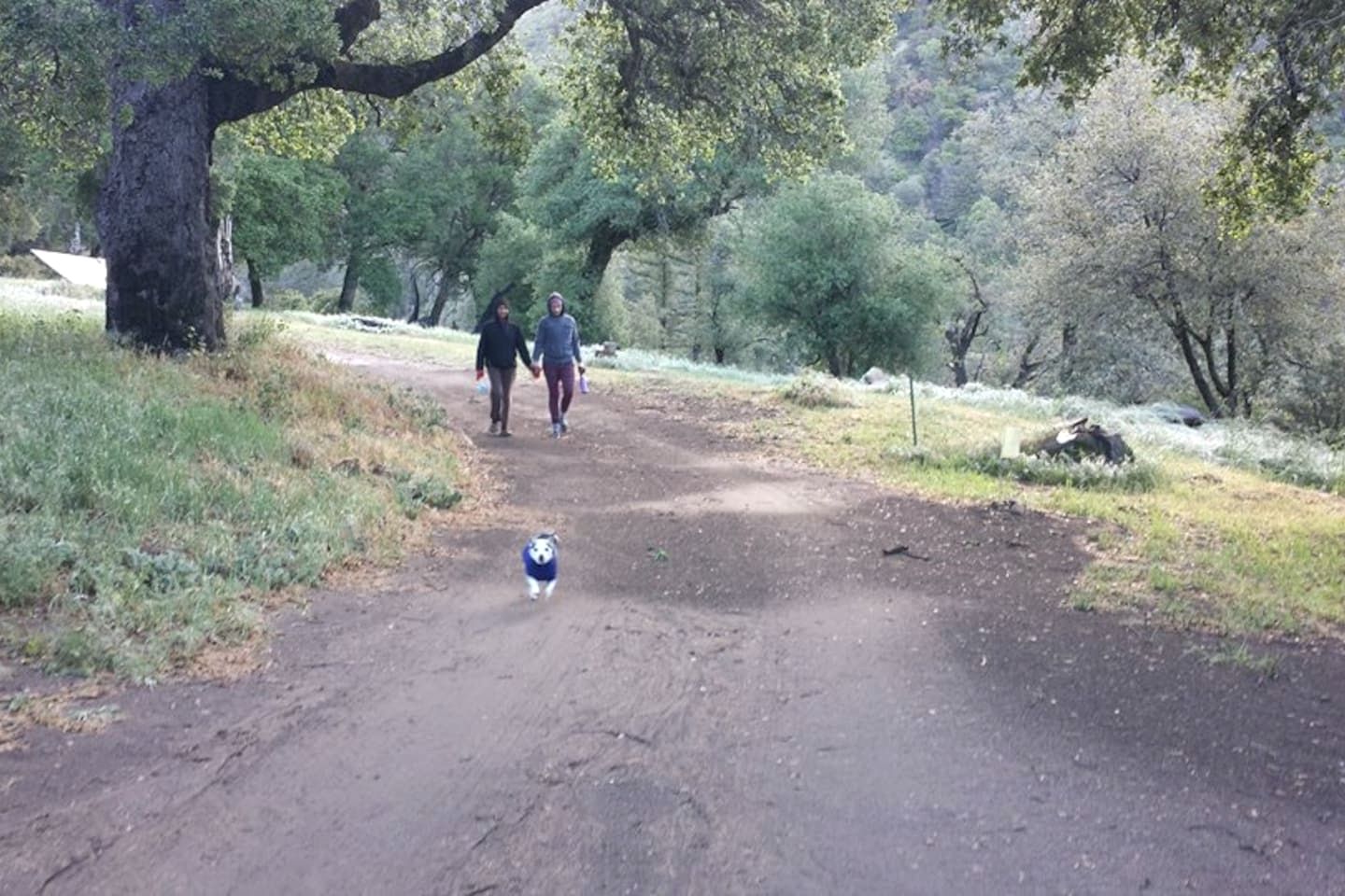 Spacious Mountain Ranch Retreat with Event Space & Trails near Palomar Mountain, California