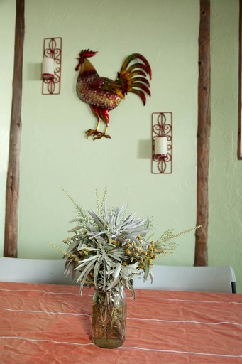 Vacation Rentals (United States of America, Palomar Mountain, California)