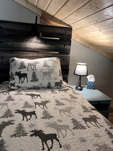 Cabins (United States of America, Pony, Montana)