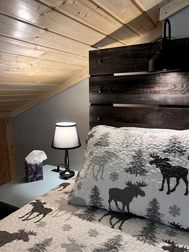 Cabins (United States of America, Pony, Montana)