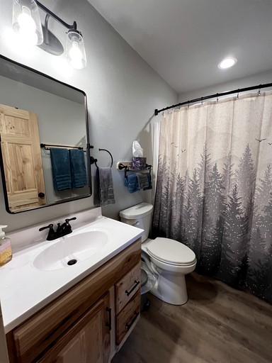 Cabins (United States of America, Pony, Montana)