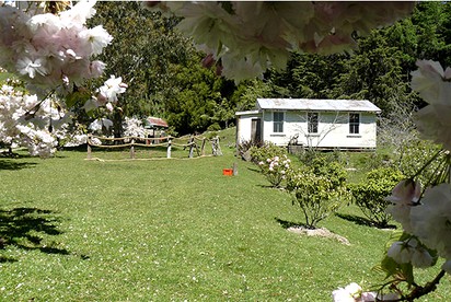 undefined photo 3