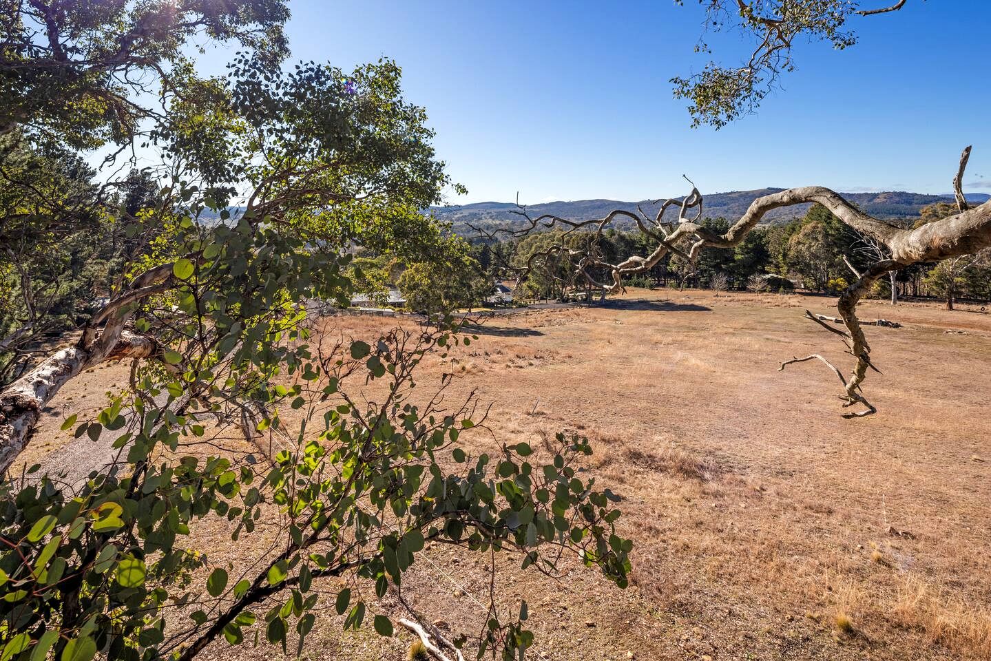 Enchanting Treetop Hideaway with Starry Balcony Bedroom near Canberra in Carwoola, Australia