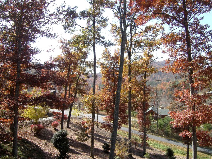 Luxury Murphy, North Carolina cabin rental