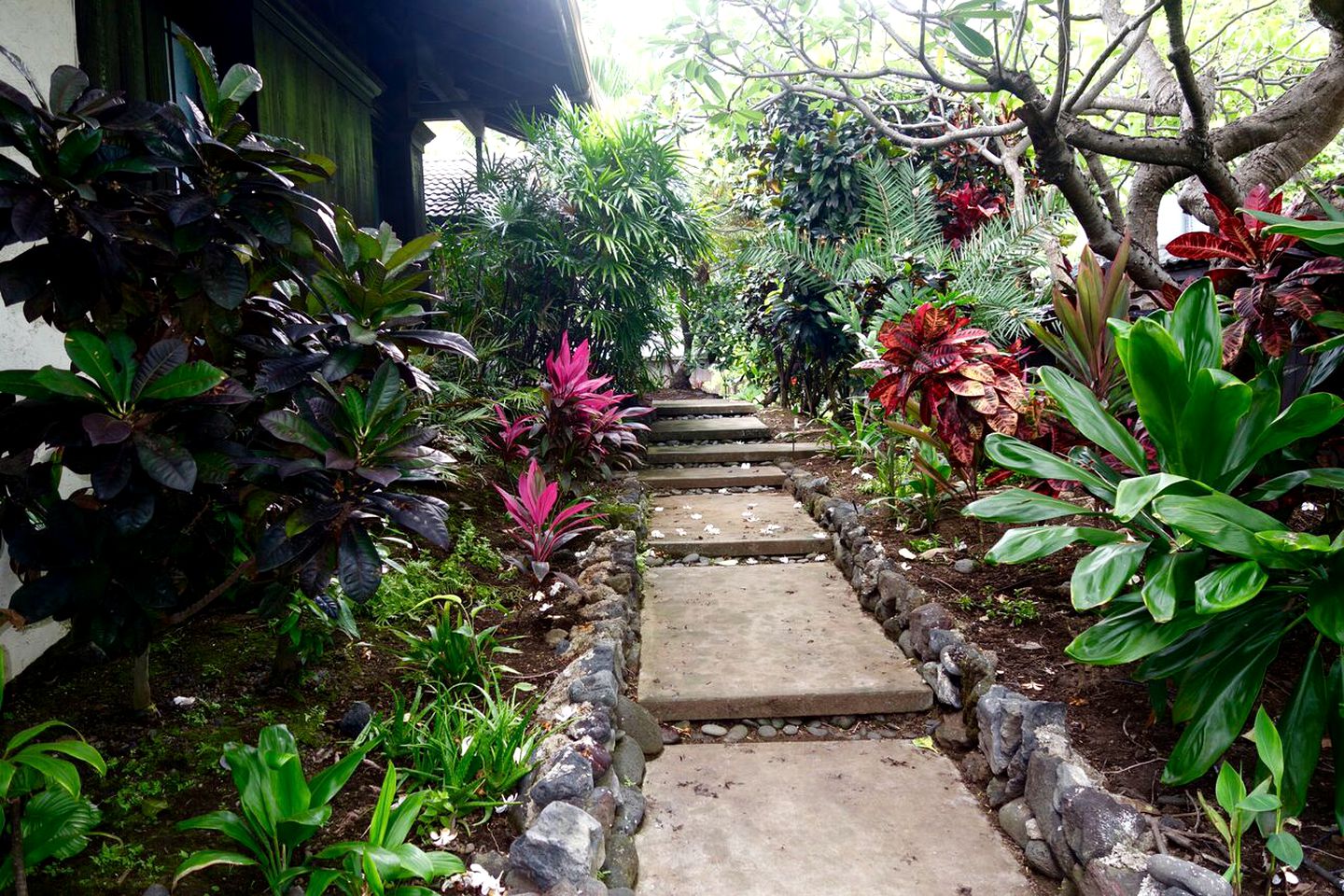 Incredible Waterfront Cottage with Kayaks and a Hot Tub on Kealakekua Bay in Hawaii