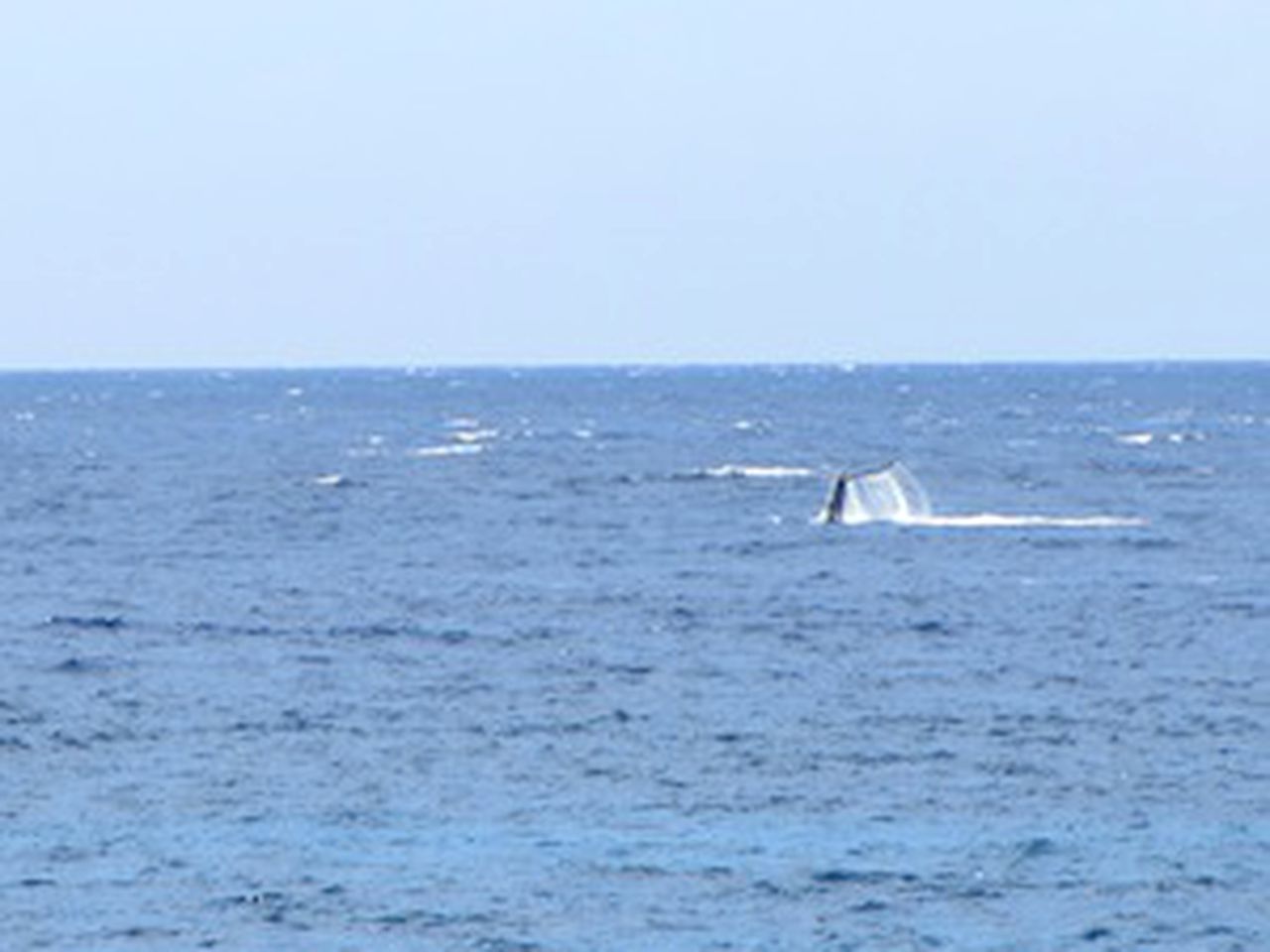 Waterfront Vacation Rental with Private Kayak Launch on Kealakekua Bay, Big Island, Hawaii