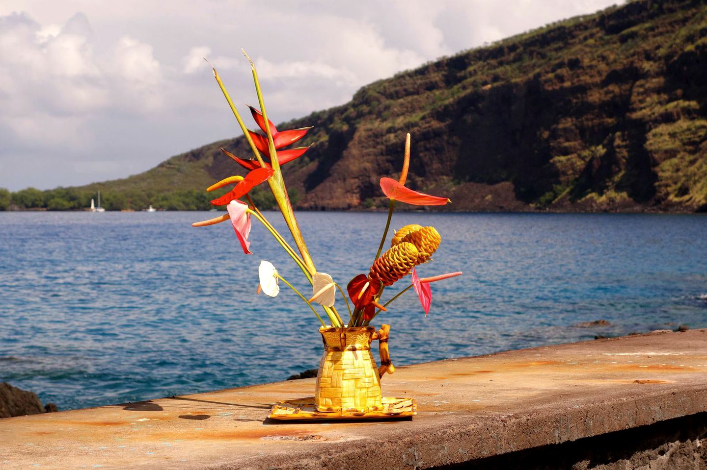 Waterfront Vacation Rental with Private Kayak Launch on Kealakekua Bay, Big Island, Hawaii
