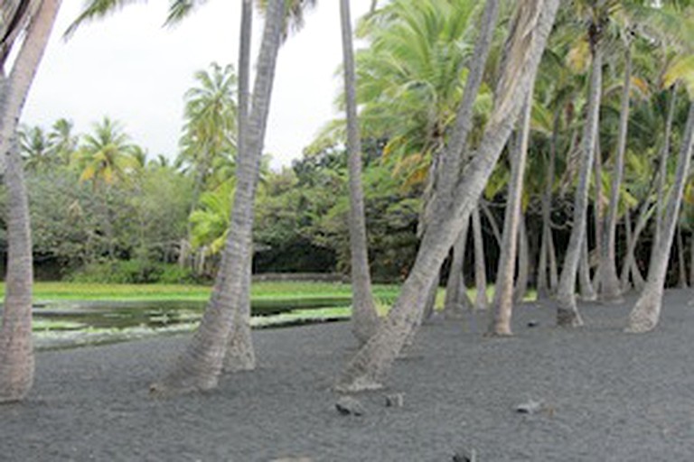 A-Frame Cabins (Volcano, Hawaii, United States)