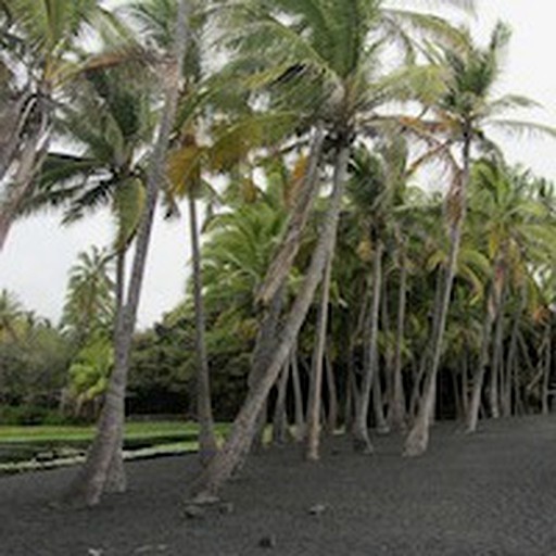A-Frame Cabins (Volcano, Hawaii, United States)