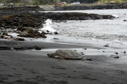 Serene Vacation Rental near Hawaii Volcanoes National Park, Hawaii photo 4