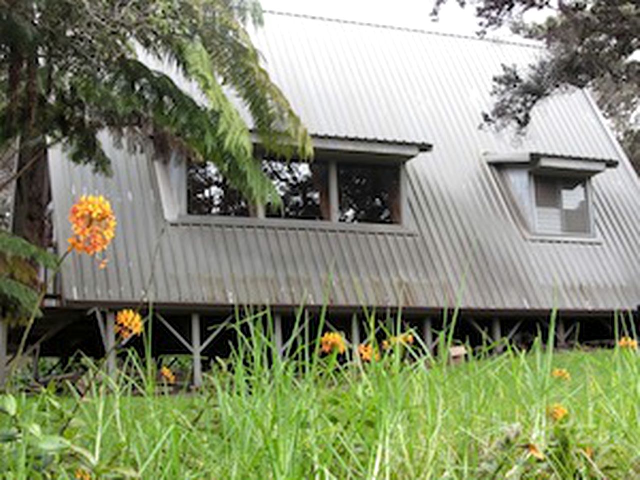 Serene Vacation Rental near Hawaii Volcanoes National Park, Hawaii