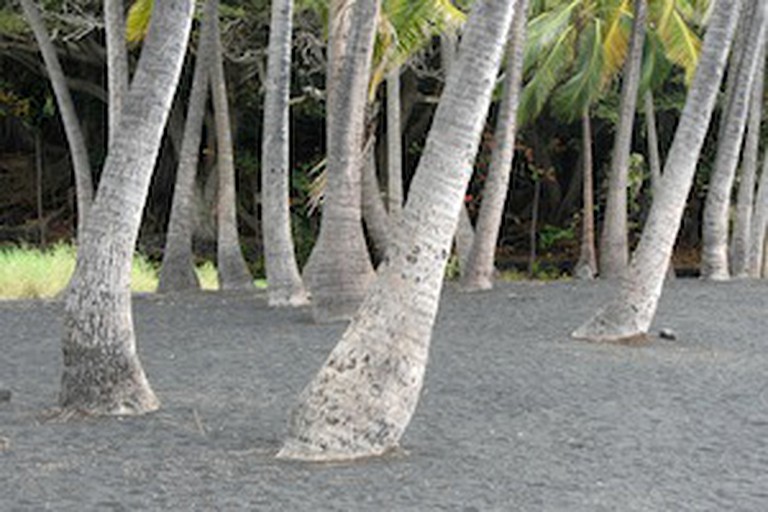 A-Frame Cabins (Volcano, Hawaii, United States)