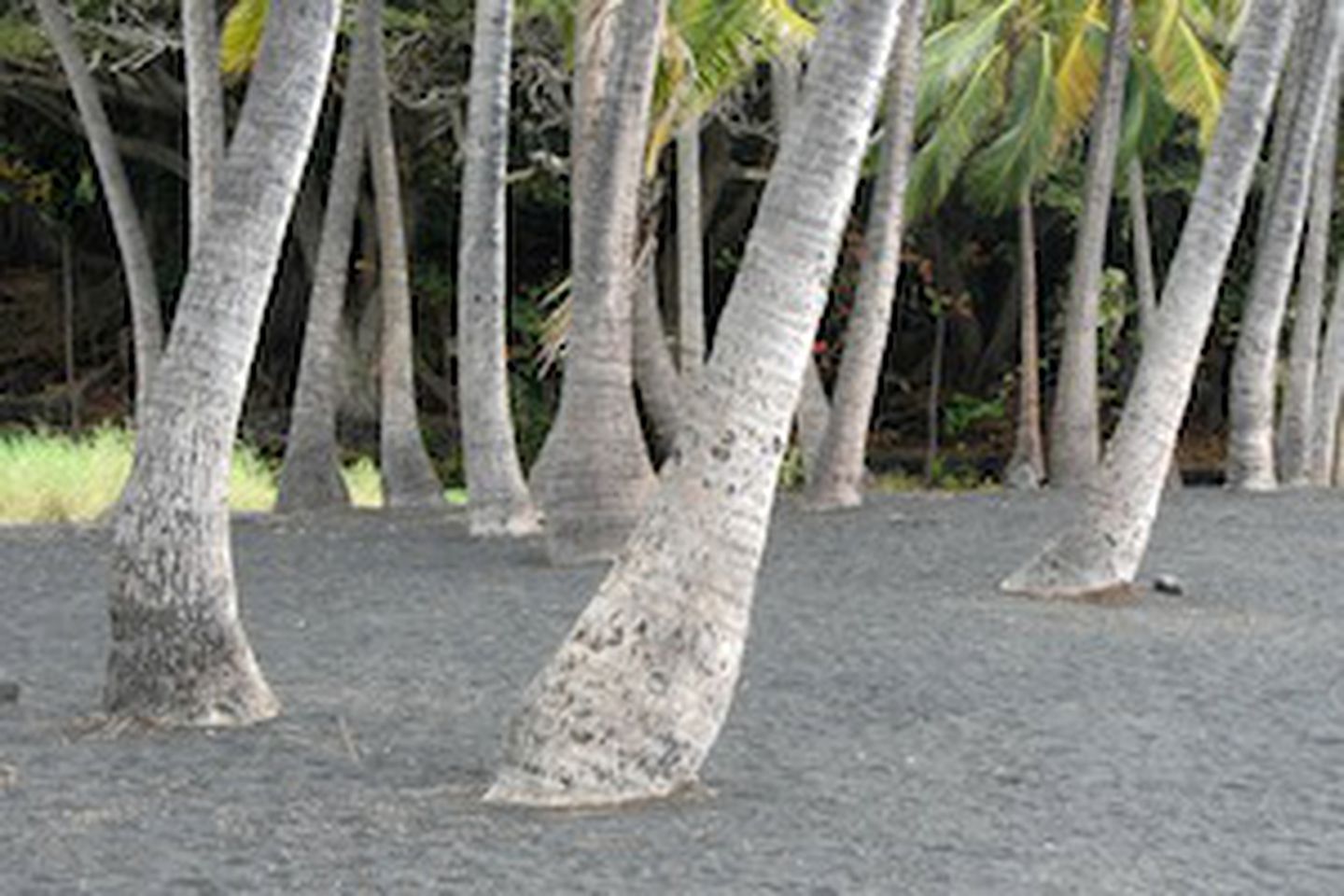 Serene Vacation Rental near Hawaii Volcanoes National Park, Hawaii