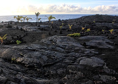 Oceanfront Getaway with Private Beach Access in Pahoa, Hawaii photo 2