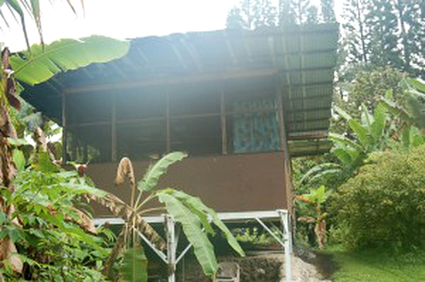 Tranquil Elevated Cabin Rental on a Farm in Pahoa, Hawaii