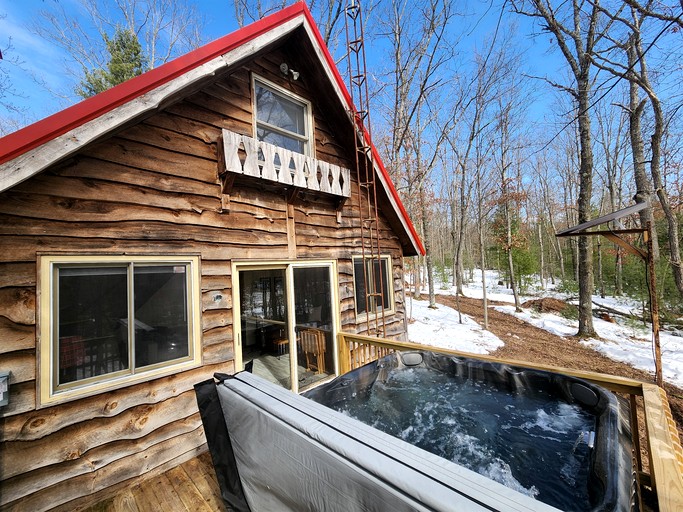 Secluded Luxury Cabin with Hot Tub on 10 Private Acres near Trails in Reed City, Michigan