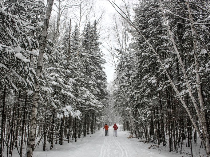 Hawks Nest Lodge, Nature Lodges 20270, West Forks, United States of