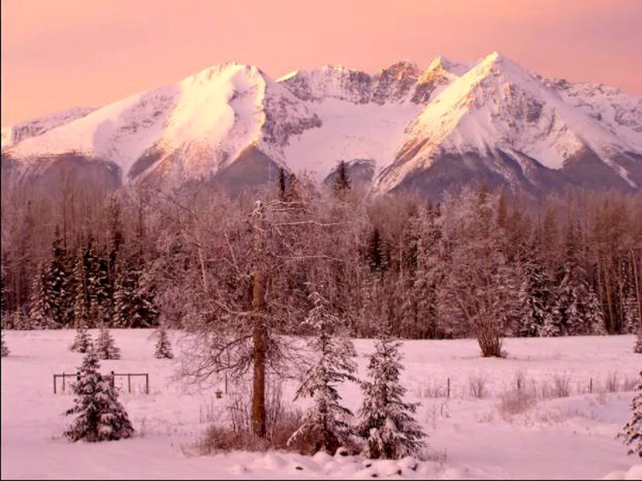 Gorgeous Mountain View Vacation Retreat Located in Smithers, British Columbia