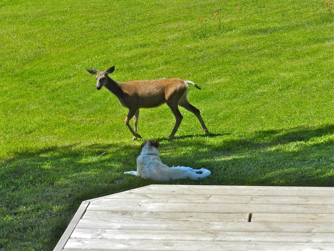 Nature Lodges (Smithers, British Columbia, Canada)