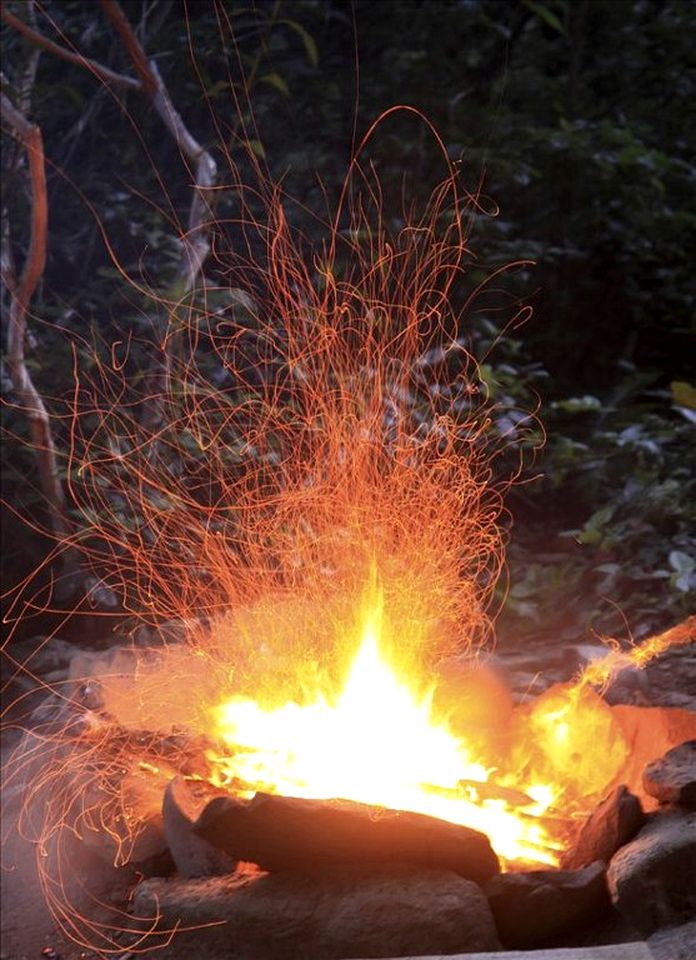 Secluded Cabin Rental with 20 Acres of Private Forest near Missoula, Montana