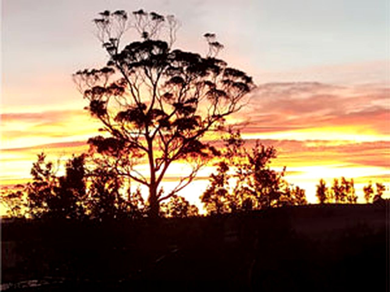 Delightful Cottage Set on Farmland near George Town, Tasmania