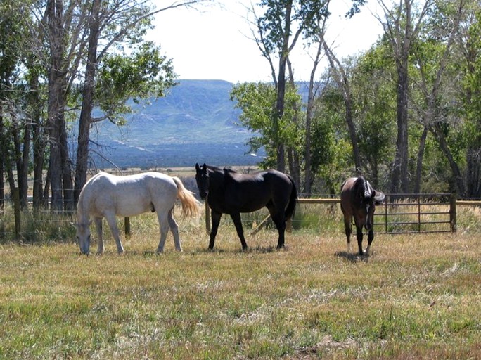 Cabins (Hesperus, Colorado, United States)