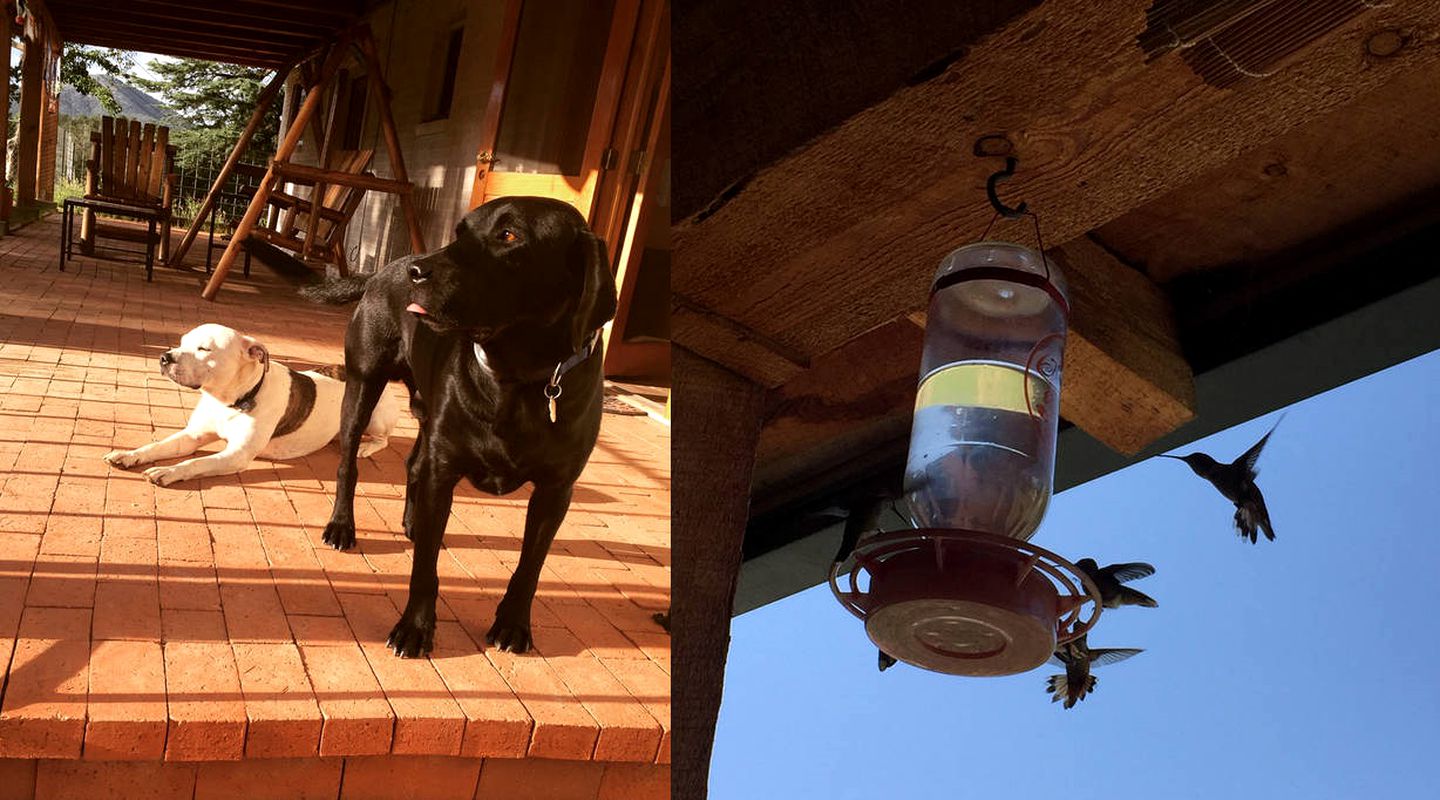 Romantic Vacation Rental with Hot Tub near New Mexico's Pinos Altos Mountains