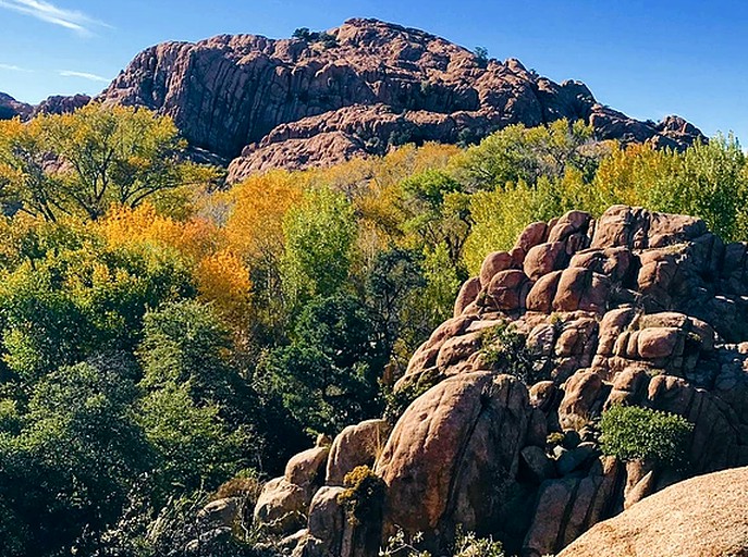 Tree Houses (Prescott, Arizona, United States)