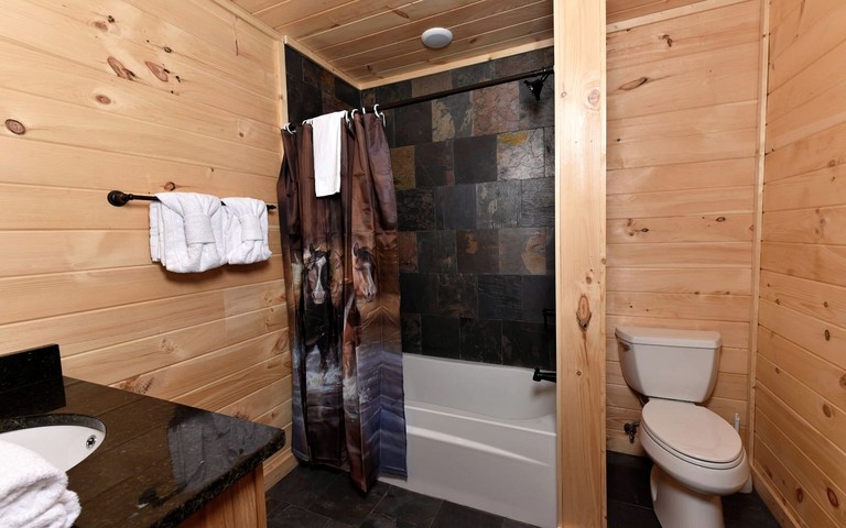 Cabins (United States of America, Sevierville, Tennessee)