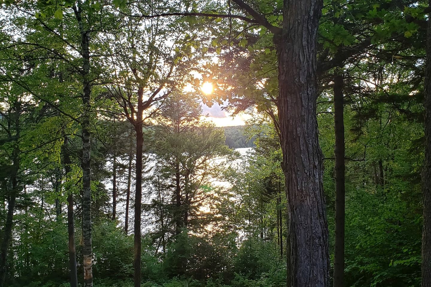 Heavenly Lake A-Frame with Modern Interior in Maine