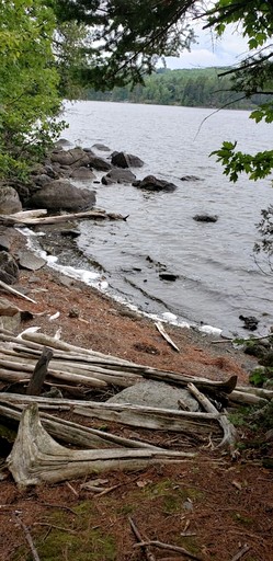 Cabins (United States of America, Greenville, Maine)