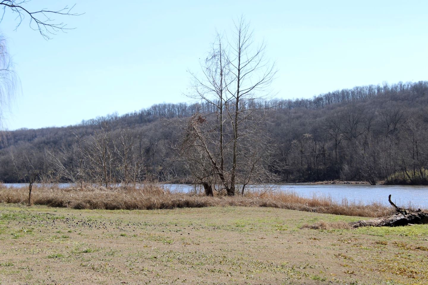 Creek Cabin with Fire Pit Loaded with Kayaks in Arkansas