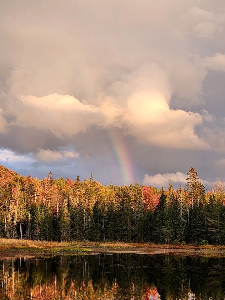 Beautiful Secluded Tiny House for a Quiet Peaceful Getaway Surrounded by Nature in Cabot, Vermont
