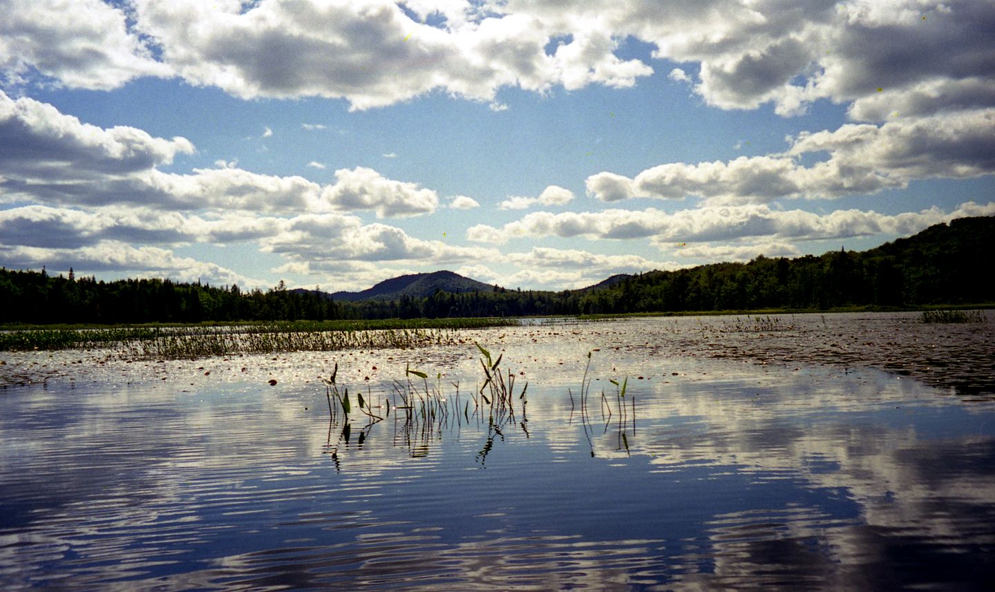 Relaxing Cabin on Big Moose Lake with Stunning Views for an Incredible Getaway in the Adirondacks in New York