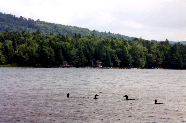 Vacation Rentals (United States of America, Eagle Bay, New York)