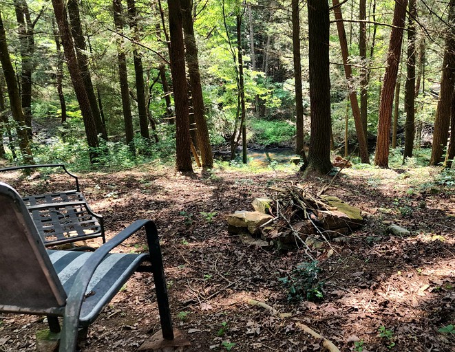 RU Hemlock Cabin at Ranger Creek, Cabins, Coalmont, United States of