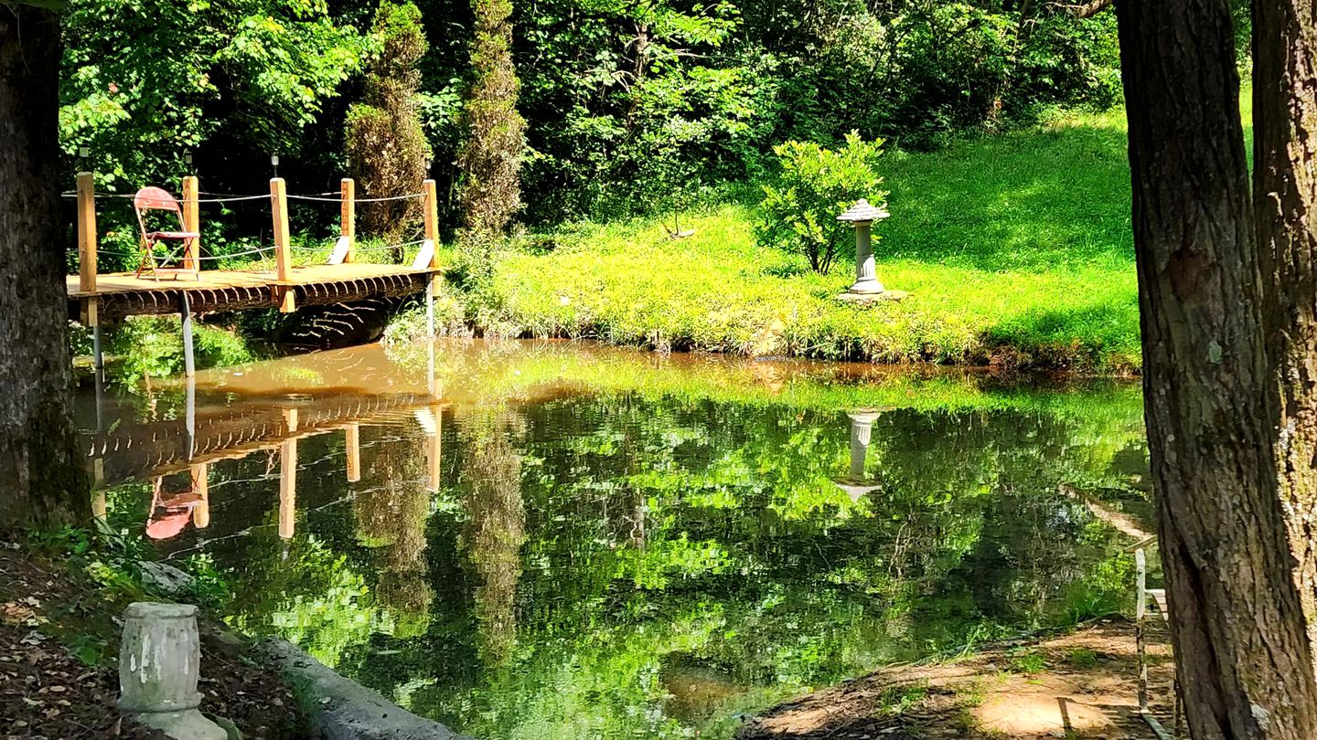 RU Hemlock Cabin at Ranger Creek, Cabins, Coalmont, United States of