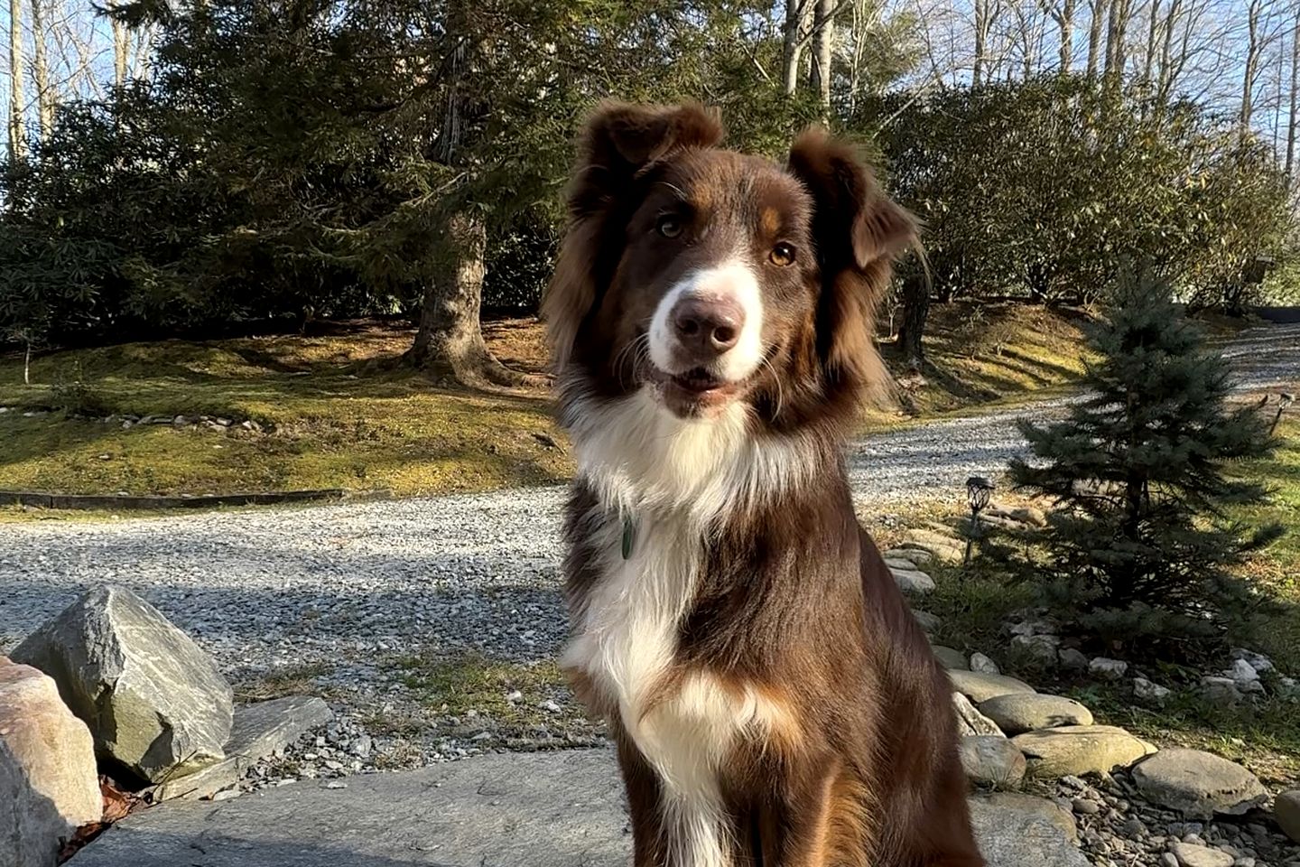 Tranquil Mountain Escape with Outdoor Decks, Fireplace & Scenic Charm in Blowing Rock, North Carolina