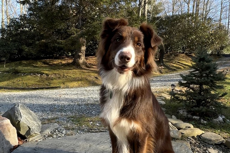 Cabins (United States of America, Blowing Rock, North Carolina)
