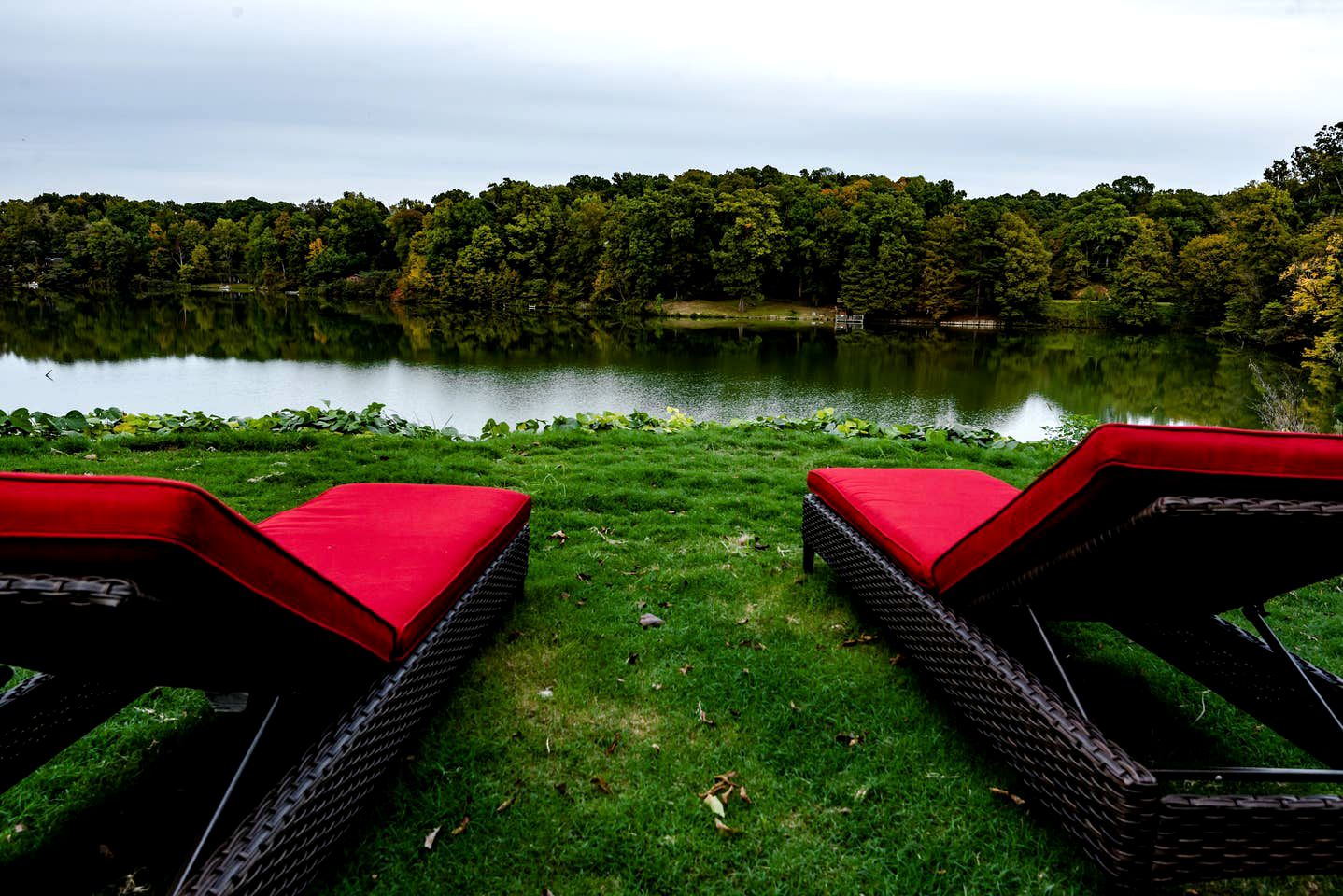 Lakeside Cottage Memphis, Tennessee Glamping Hub