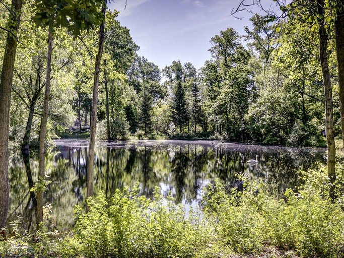 Cabins (White Lake, Michigan, United States)