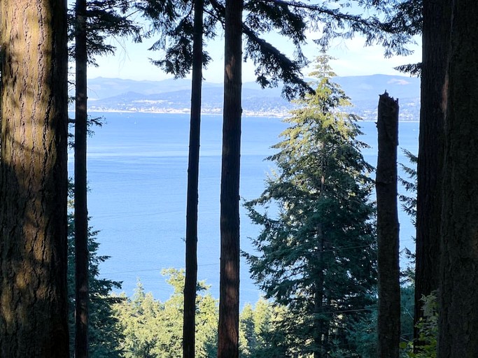 Tree Houses (United States of America, Lummi Island, Washington)