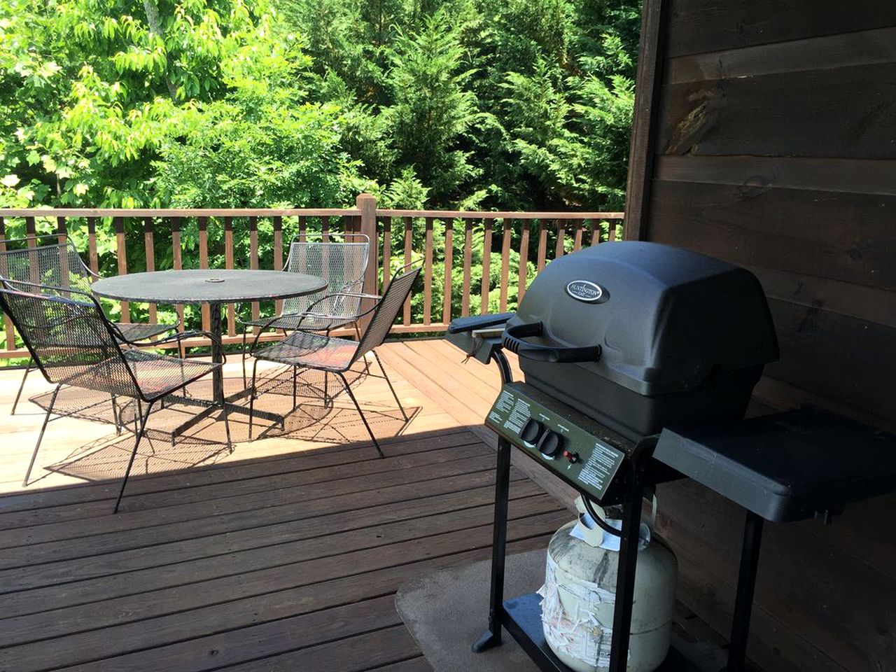 Hiawassee Cabin Views 412437, Cabins, Hiawassee, United States of