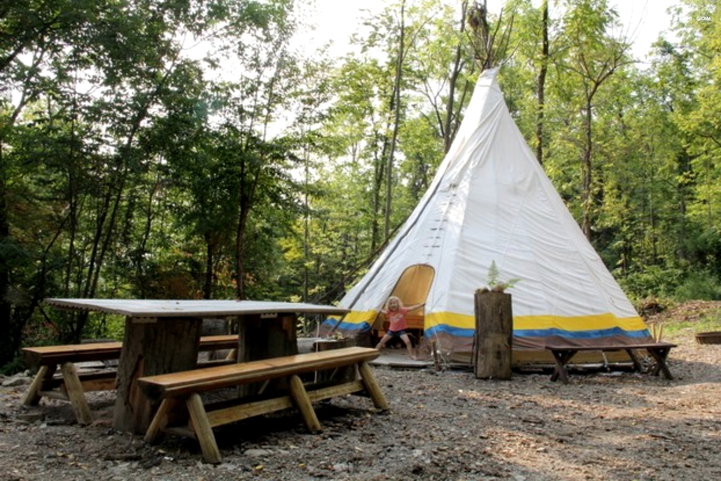 js surfboards monsta 2020