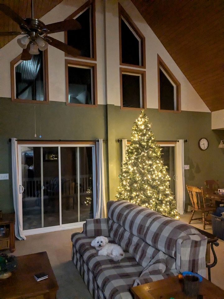 Breathtaking Cabin Nestled Amidst Trees in Webb, New York