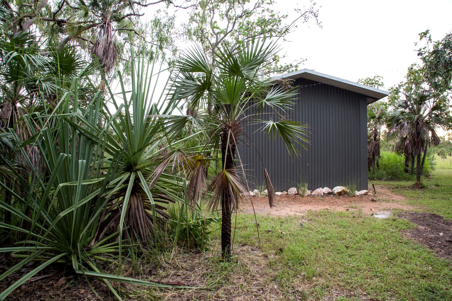 Experience the Outback in Style: Glamping at a Hut in the Northern Territory